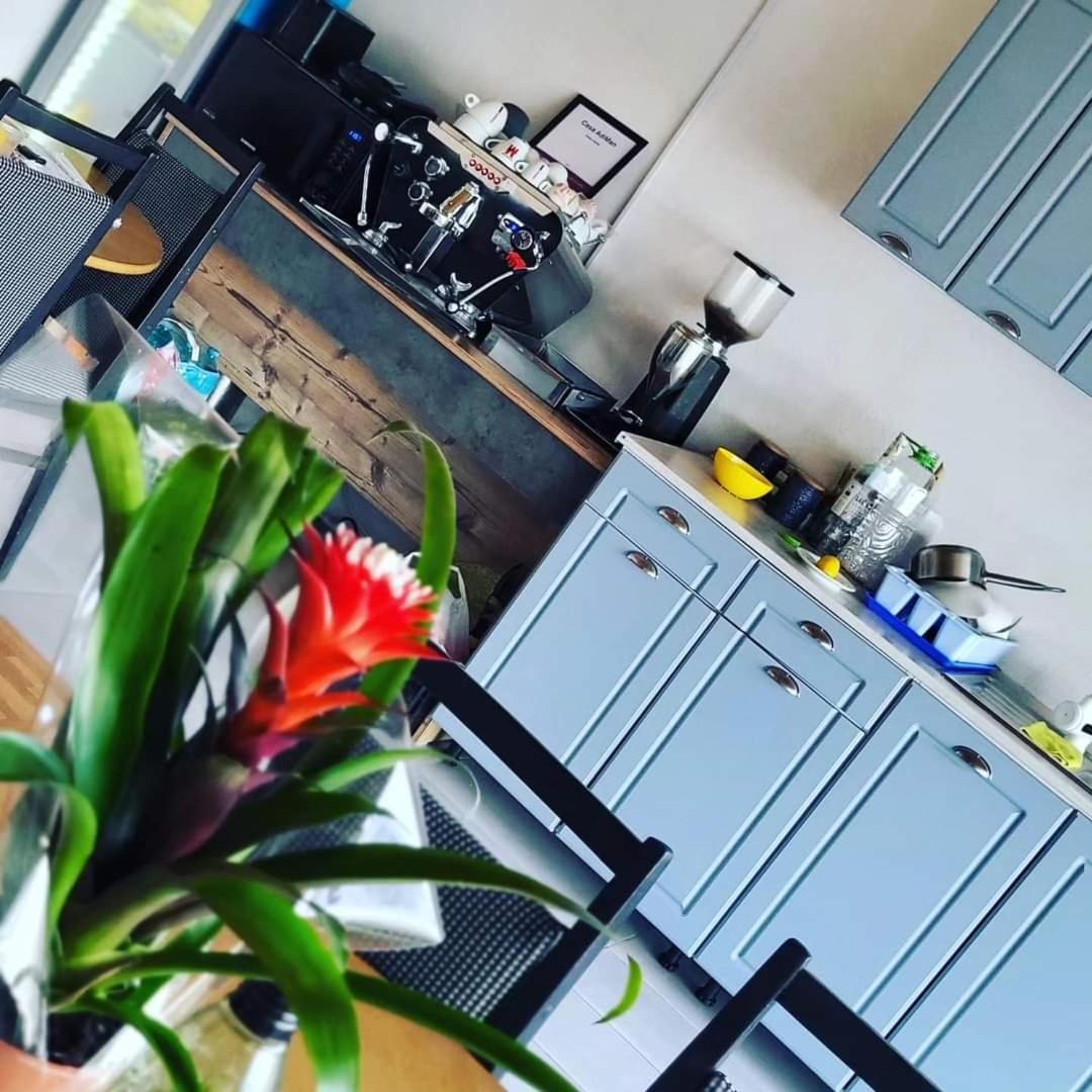 Casa Adiman Hotel Vama Veche Luaran gambar